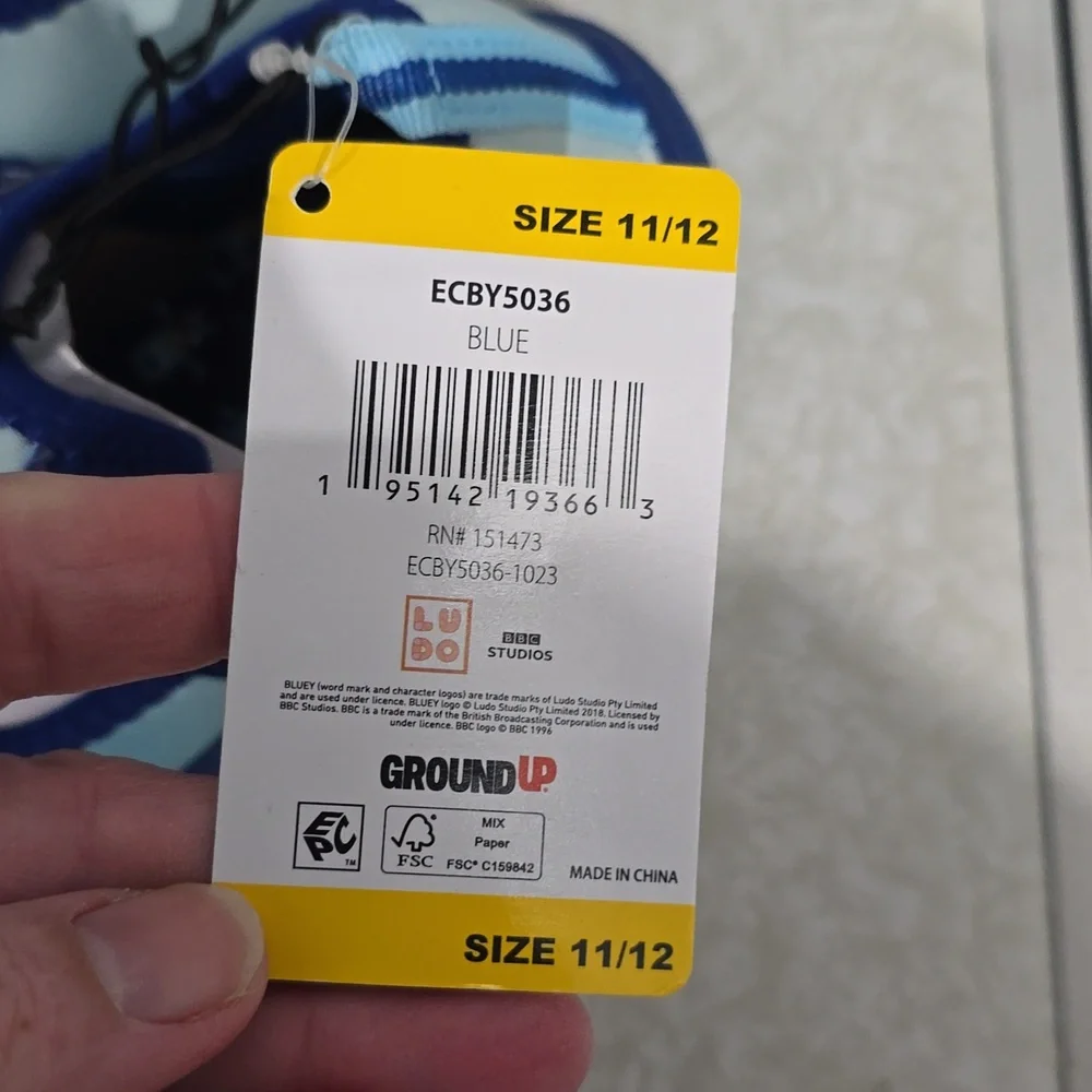 Bluey water shoes